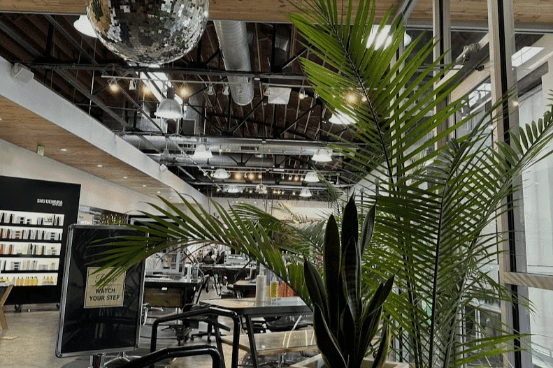 Modern gym interior with potted plants and a disco ball hanging from the ceiling.